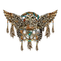 native dream catcher with owl | Teevron