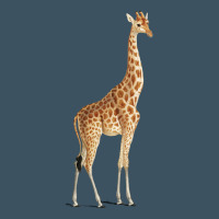 Giraffe Urban Heavy Tee | Teevron