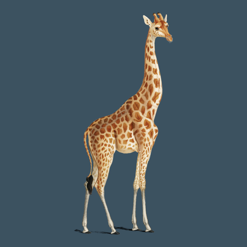 Giraffe Urban Heavy Tee by artisFamous | Teevron