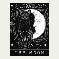 Tarot Card Crescent Moon And Cat Graphic Urban Heavy Tee | Teevron