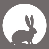 Bunny And Full Moon Funny Urban Heavy Tee | Teevron