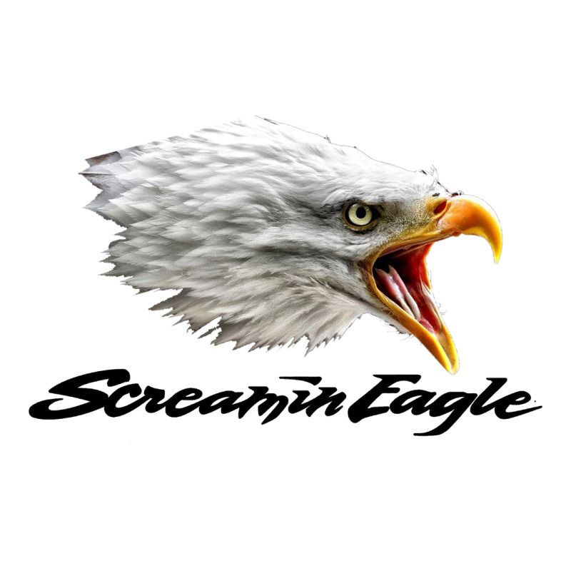 The Screaming Eagle Urban Heavy Tee by artisFamous | Teevron