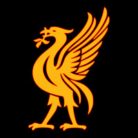 Liverpool Bird License Plate Urban Heavy Tee | Teevron