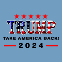 Donald Trump 2024 Take America Back Election Urban Heavy Tee | Teevron