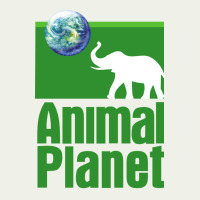 Animal Planet Urban Heavy Tee | Teevron