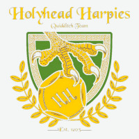 Holyhead Harpies Urban Heavy Tee | Teevron