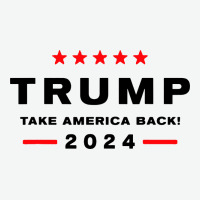 Donald Trump 2024 Take America Urban Heavy Tee | Teevron