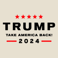 Donald Trump 2024 Take America Urban Heavy Tee | Teevron