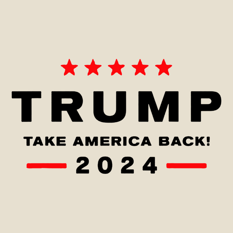 Donald Trump 2024 Take America Urban Heavy Tee by artisFamous | Teevron