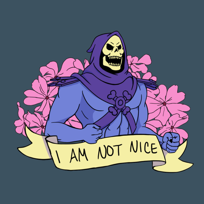 Vintage Skeletor ı Am Not Nice Urban Heavy Tee by artisFamous | Teevron