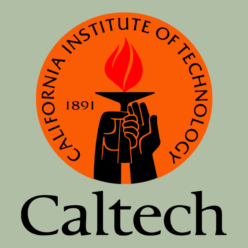 Caltech California Institute Urban Heavy Tee by artisFamous | Teevron
