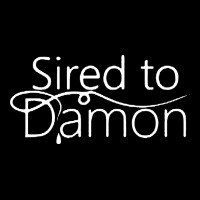 Sired To Damon Urban Heavy Tee | Teevron