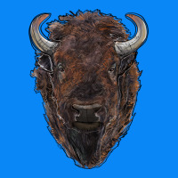 American Bison Zipper Hoodie | Teevron