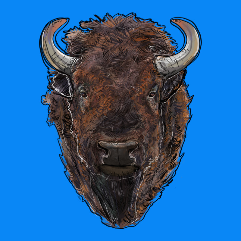 American Bison Zipper Hoodie by RanaPortraitStore | Teevron