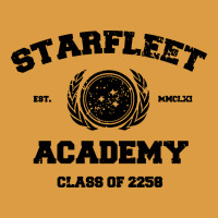 Starfleet Academy Urban Heavy Tee | Teevron