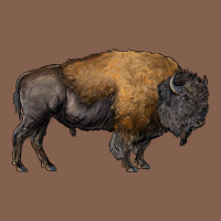 American Bison Body Zipper Hoodie | Teevron