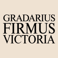 Gradarius Firmus Victoria Urban Heavy Tee | Teevron