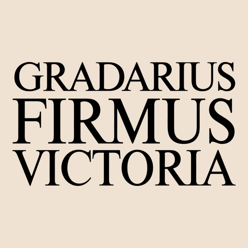 Gradarius Firmus Victoria Urban Heavy Tee by artisFamous | Teevron