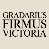 Gradarius Firmus Victoria Urban Heavy Tee | Teevron