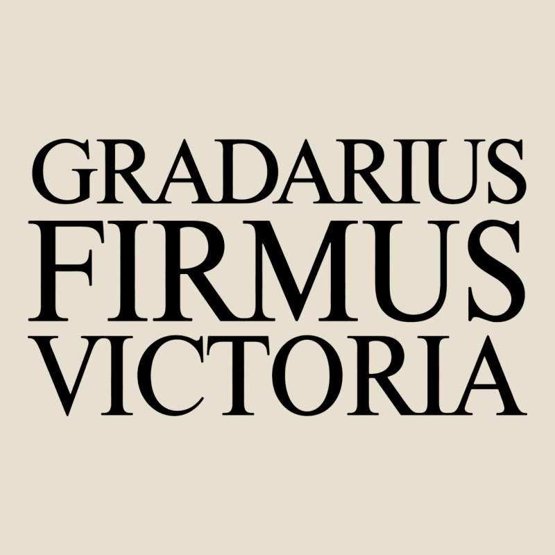 Gradarius Firmus Victoria Urban Heavy Tee by artisFamous | Teevron