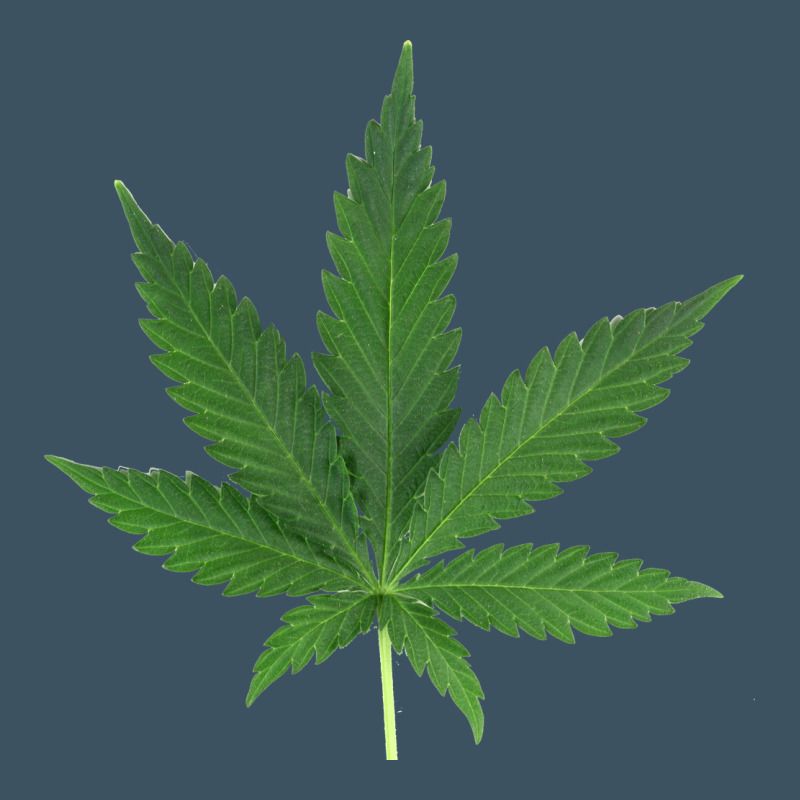 Weed Leaf Urban Heavy Tee by artisFamous | Teevron