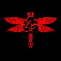 Coheed And Cambria Dragonfly Urban Heavy Tee | Teevron