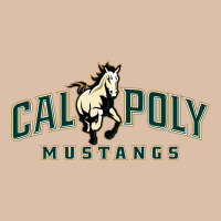 Cal Poly Mustangs Urban Heavy Tee | Teevron