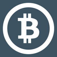 Bitcoin Urban Heavy Tee | Teevron