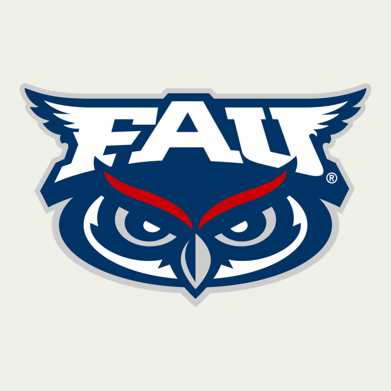 Florida Atlantic Owls Urban Heavy Tee by artisFamous | Teevron