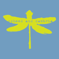 Coheed And Cambria Urban Heavy Tee | Teevron