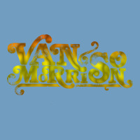 Van Morrison Music Urban Heavy Tee | Teevron
