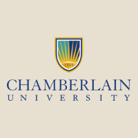Chamberlain College Nursing Urban Heavy Tee | Teevron