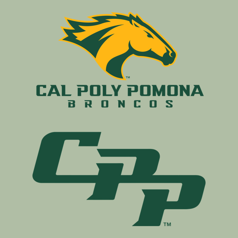 Cal Pol Pomona Urban Heavy Tee by artisFamous | Teevron