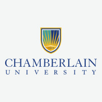 Chamberlain College Urban Heavy Tee | Teevron