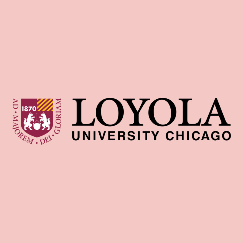 Loyola College Chicago Urban Heavy Tee by artisFamous | Teevron