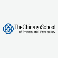 The Chicago School Of Professional Psychology Urban Heavy Tee | Teevron