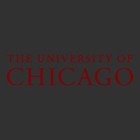 College Of Chicago Urban Heavy Tee | Teevron