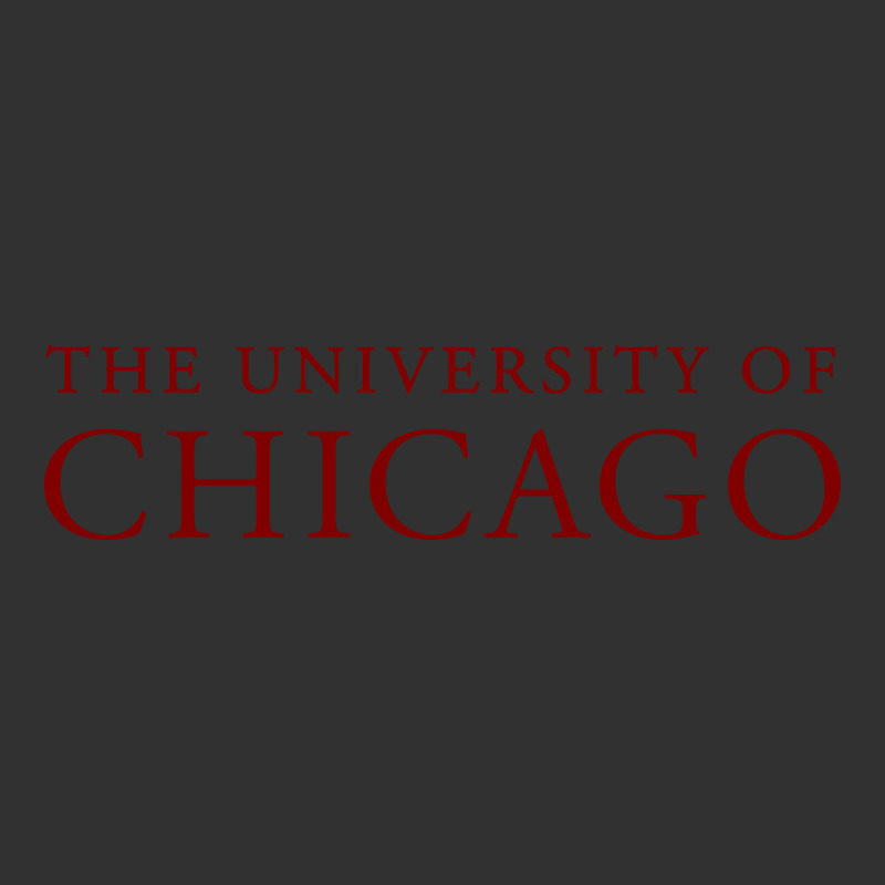 College Of Chicago Urban Heavy Tee by artisFamous | Teevron