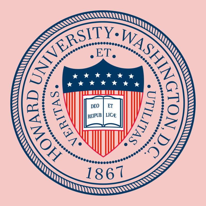 Howard University Urban Heavy Tee by artisFamous | Teevron