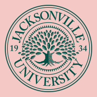 Jacksonville University Urban Heavy Tee | Teevron