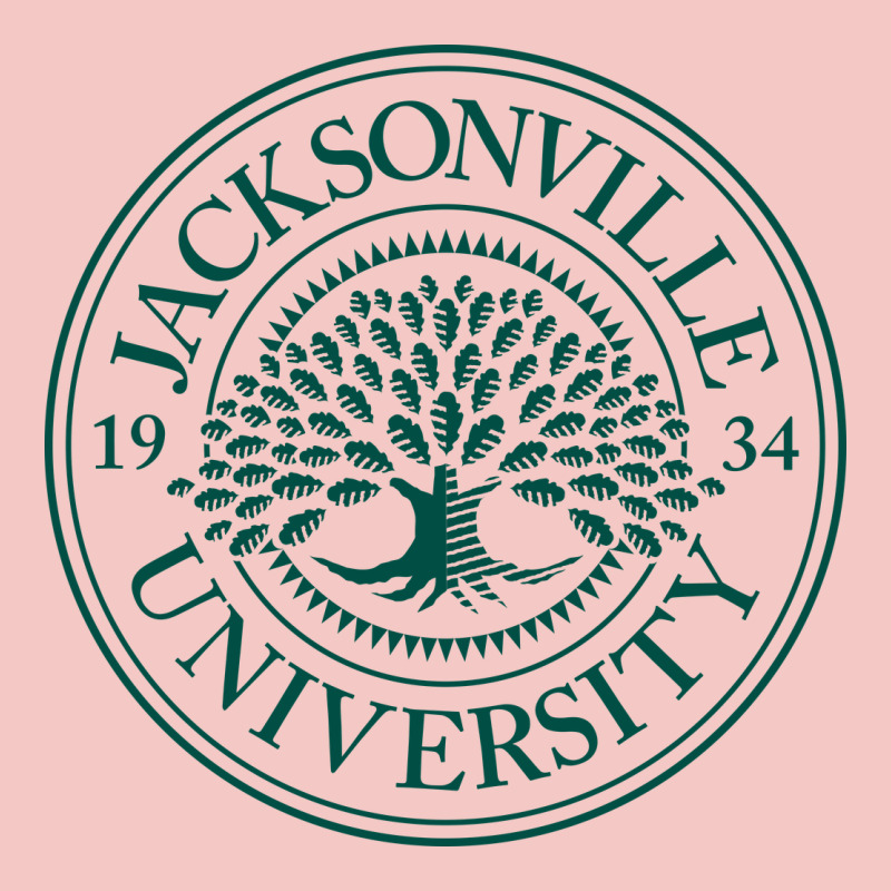 Jacksonville University Urban Heavy Tee by artisFamous | Teevron