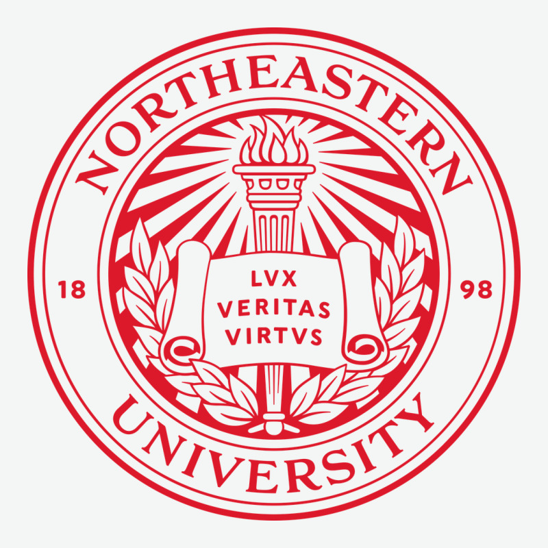Northeastern University Urban Heavy Tee by artisFamous | Teevron