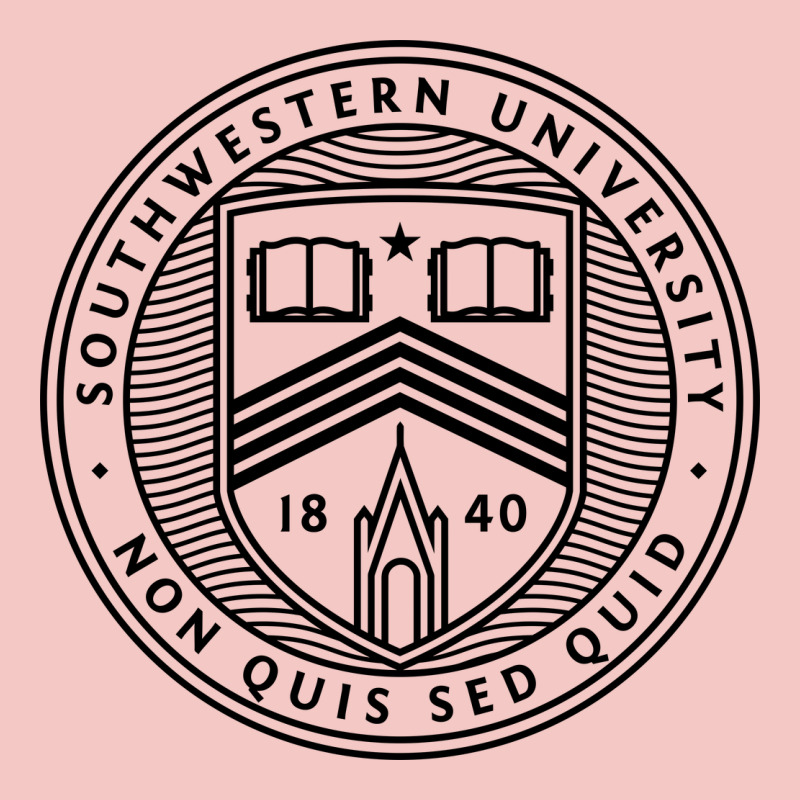 Southwestern University Urban Heavy Tee by artisFamous | Teevron