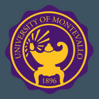 University Of Montevallo Urban Heavy Tee | Teevron