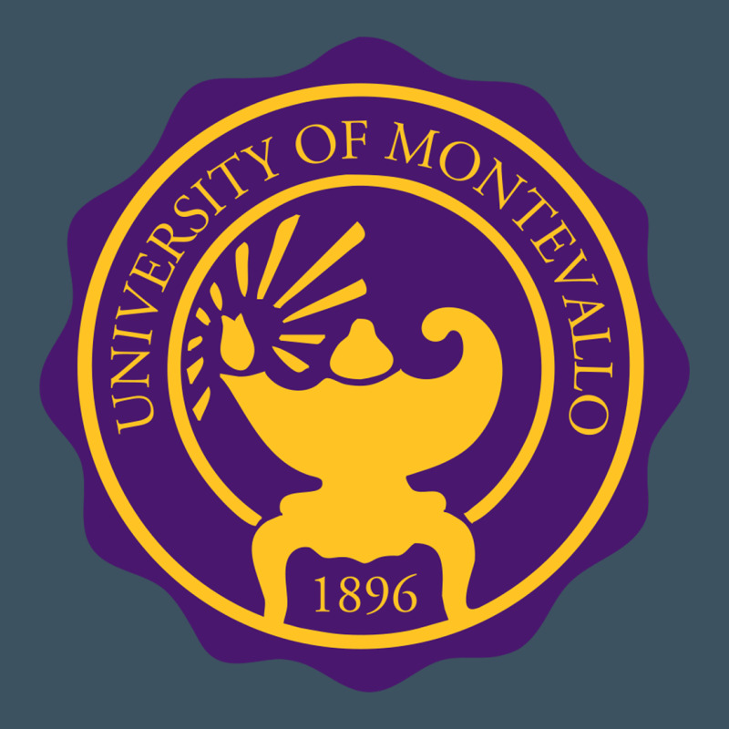 University Of Montevallo Urban Heavy Tee by artisFamous | Teevron
