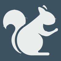 Squirrel Urban Heavy Tee | Teevron