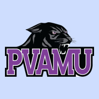 Prairie View A&m Panthers And Lady Panthers Urban Heavy Tee | Teevron
