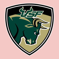 South Florida Bulls Urban Heavy Tee | Teevron