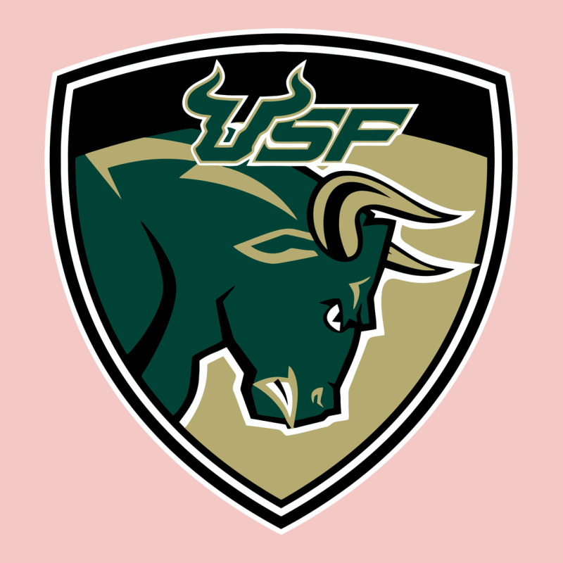 South Florida Bulls Urban Heavy Tee by artisFamous | Teevron