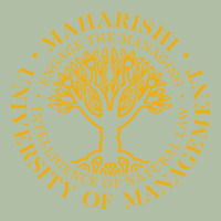 Maharishi International College Urban Heavy Tee | Teevron
